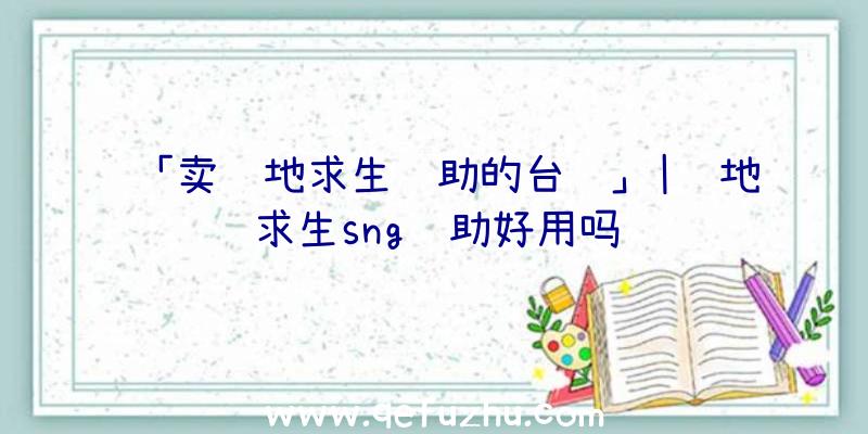 「卖绝地求生辅助的台词」|绝地求生sng辅助好用吗